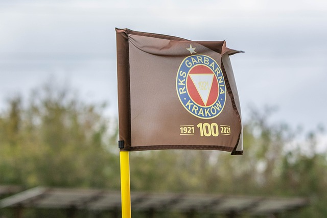 NBA季后赛焦点球员精彩表现