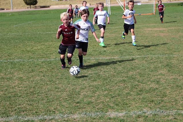 與球隊提前 與球隊提前