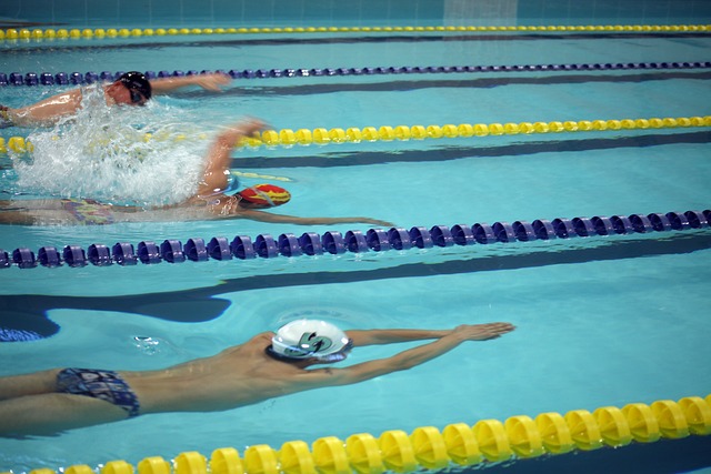 使用AI分 使用AI分