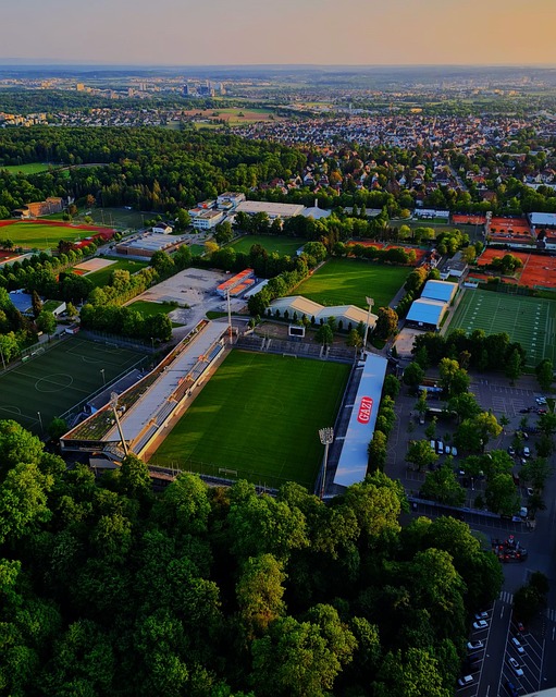 其灵敏的球 其灵敏的球