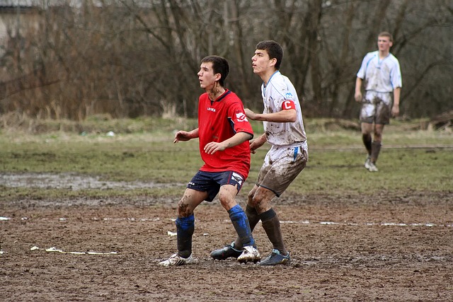 供一个能够 供一个能够