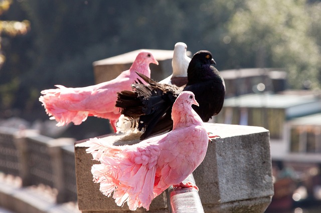 克莱的状态 克莱的状态