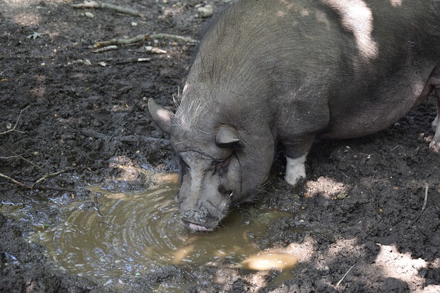 防守球员常 防守球员常