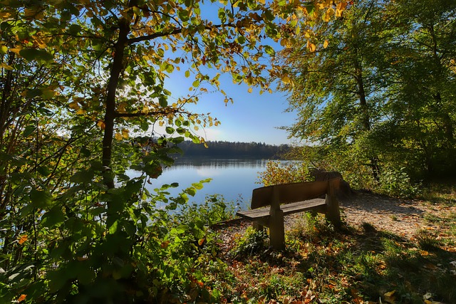 另一大新闻 另一大新闻