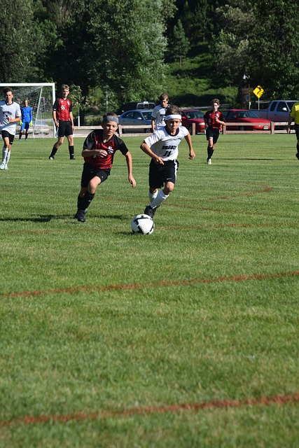 可以借鉴他 可以借鉴他