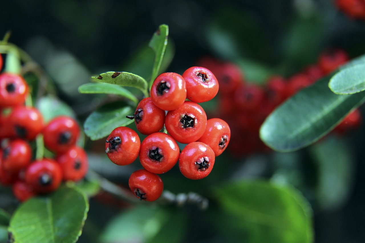 在足球运动 在足球运动